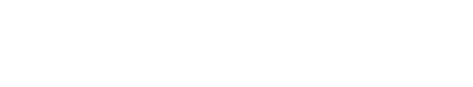 Logo BAYA GROUPE